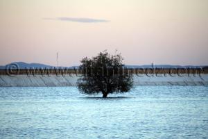 Barrage Oued Sarno, Sidi Bel Abbes