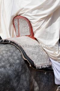 Selle arabe - Wa3det Sidi Yahia Bensfia, Sidi El Djillali (W. Tlemcen) Septembre 2011