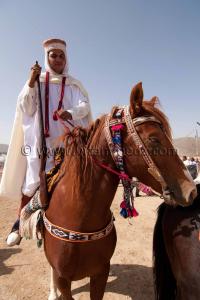 Wa3det Sidi Yahia Bensfia, Sidi El Djillali (W. Tlemcen) Septembre 2011