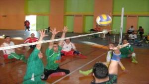 Afrique - Volley-ball assis (handisport): qualification  historique  de l'Algérie au championnat du Monde (fédération)