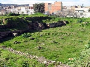 Ruines de la mosquée d\'Agadir - Tlemcen