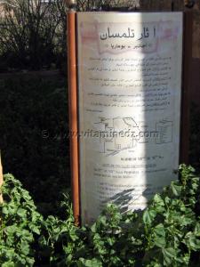 Photo Tlemcen, ruines romaines à Agadir