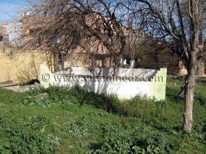 Sidi Yakoub, Tlemcen