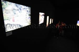 Architectures africaines  Une histoire, un mode de vie, une créativité