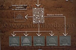 Process De terre et d\'argile, Exposition de Yasmine Terki (Tlemcen 2011, capitale de la culture islamique)