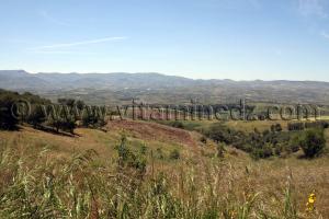 Tlemcen - Agriculture Commune de Tient (Tienet ou Tianet)
