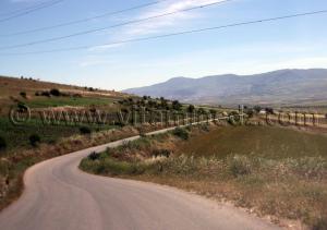 Tlemcen - Commune de Tient (Tienet ou Tianet)