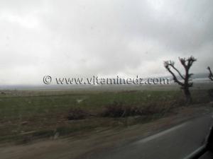 Neige à Tlemcen, Terny le 31 Janvier 2011