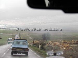 Neige à Tlemcen, Terny le 31 Janvier 2011