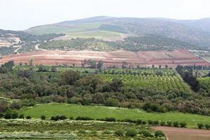Enquête: Gravissime scandale autour du domaine forestier à Béni-Saf