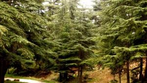 Préserver et revaloriser le patrimoine matériel et immatériel du parc naturel de Belezma (Batna)