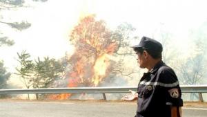 Renforcement du dispositif de prévention contre les feux de forêts à Constantine