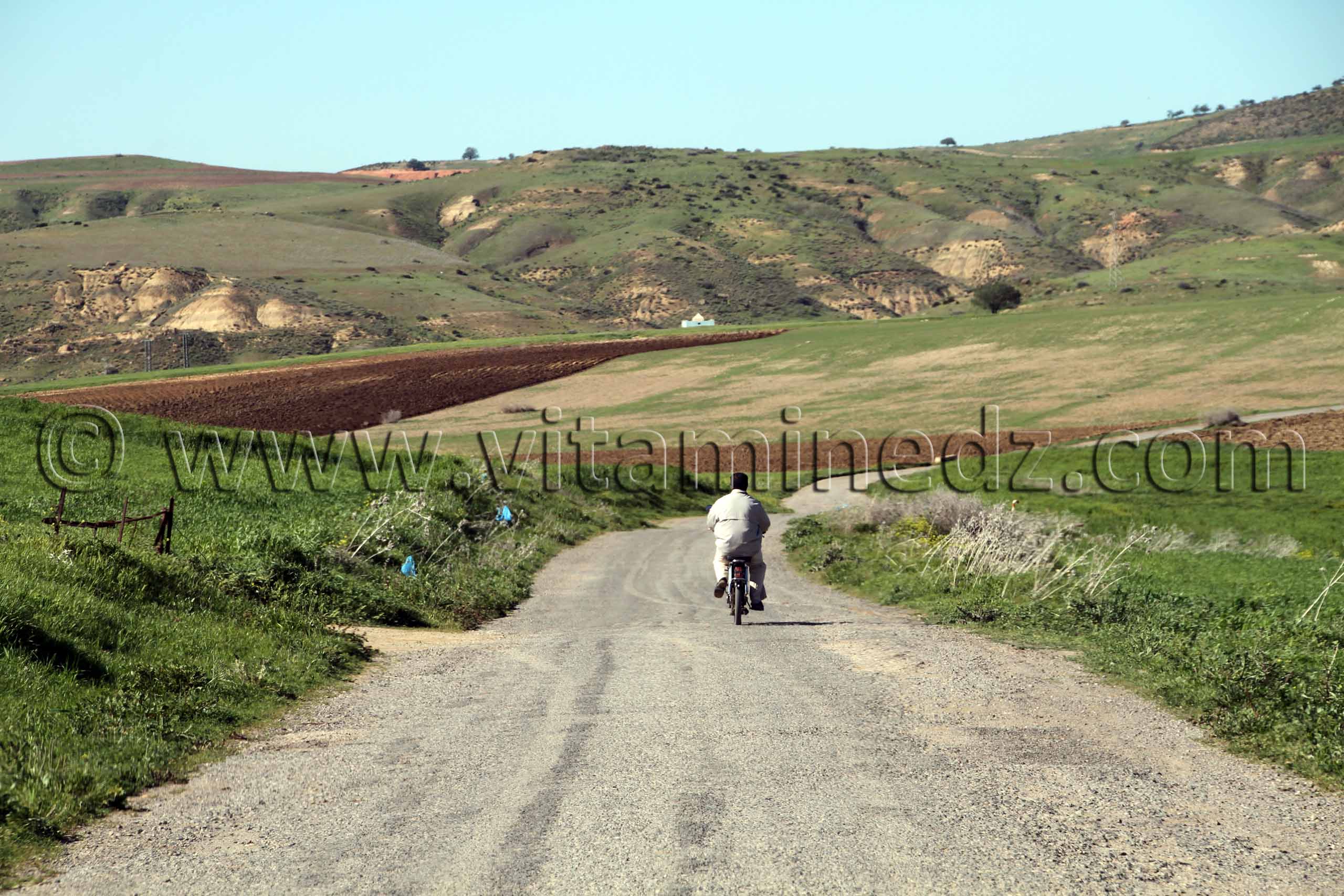 Tlemcen  Route départementale (communale) W5 à la commune de Ouled Mimoun (Lamoricière - Altava)