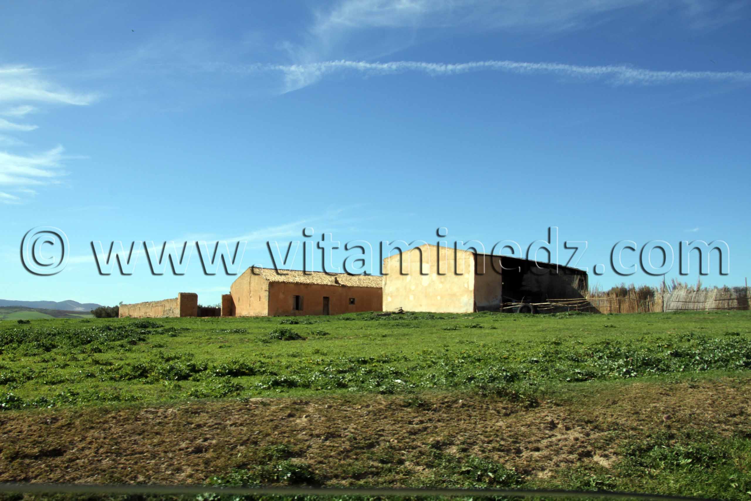 Tlemcen  Fermes à la commune de Ouled Mimoun (Lamoricière - Altava)