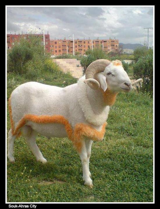 « Terre dhistoire et de Nature »