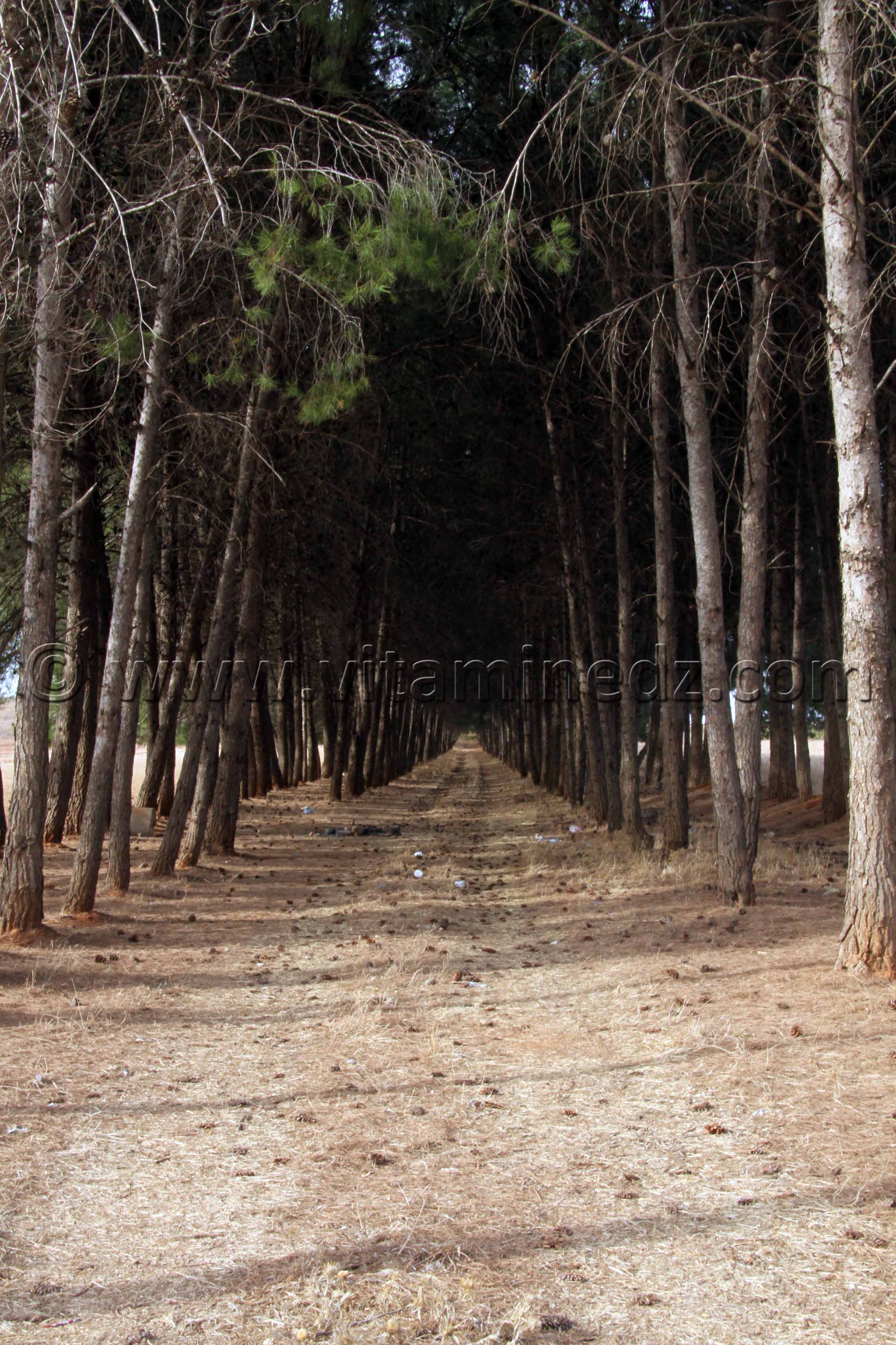 Un coin de paradis accessible à partir de l'autoroute Est Ouest à SBA