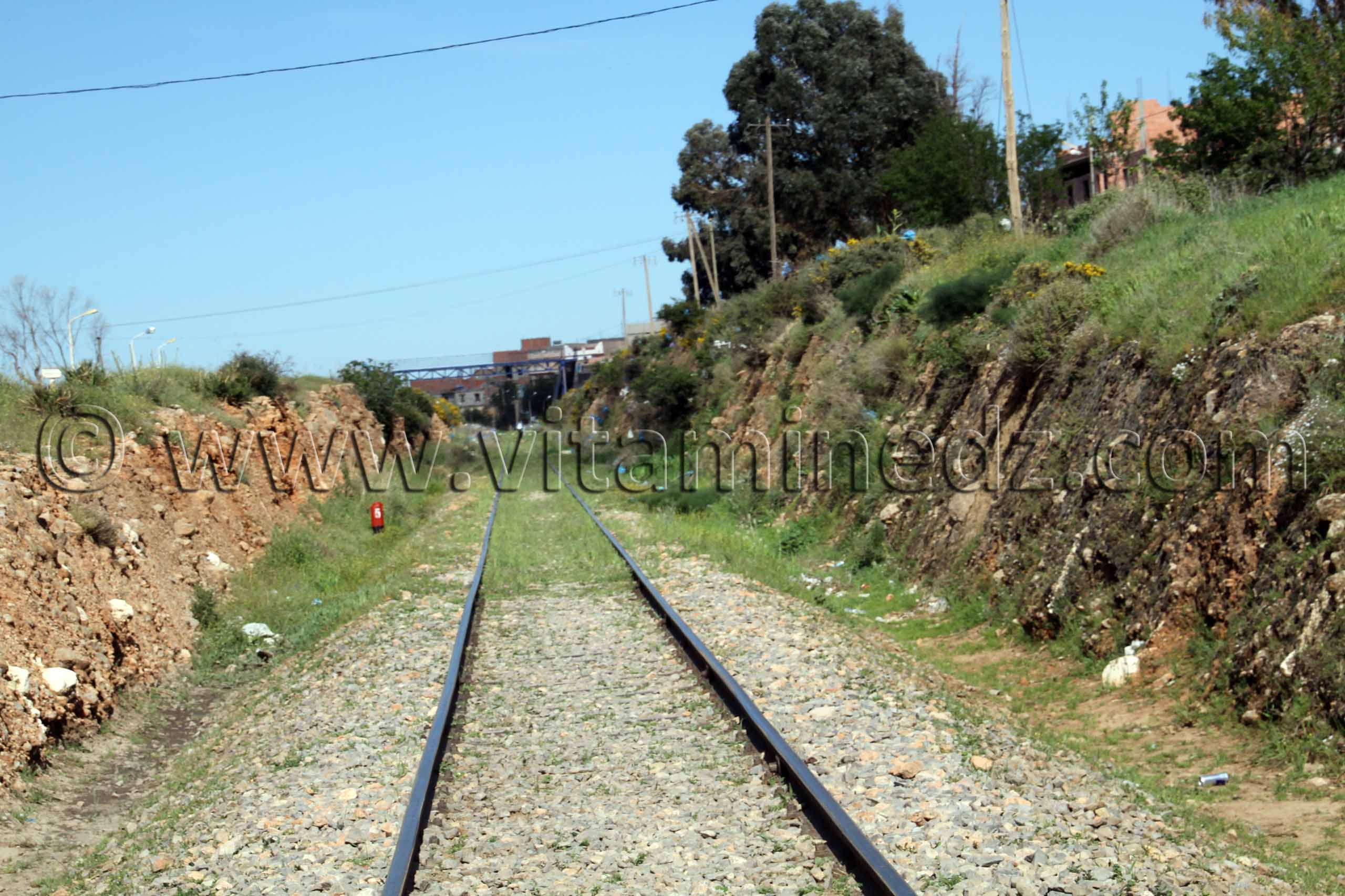 Tlemcen  Chemin de fer à Ouled Mimoun (Lamoricière - Altava)