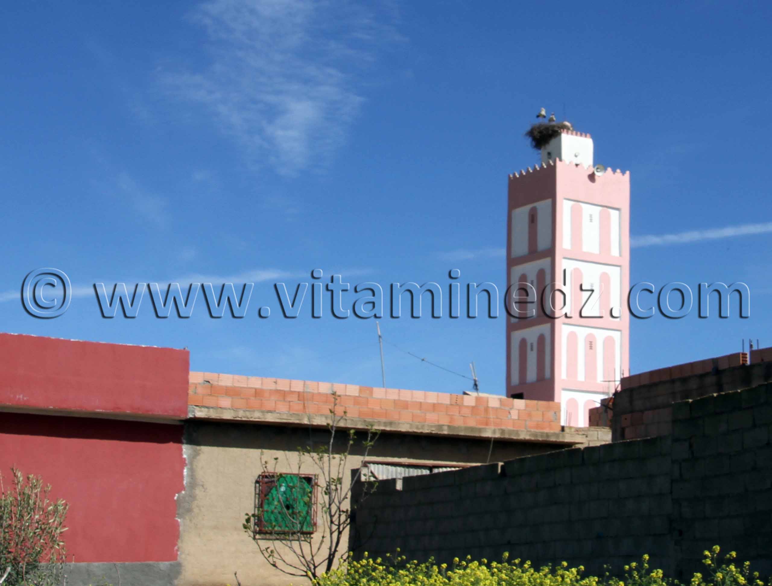 Mosquée de Sidi Soufi - commune de Ouled Mimoun (Lamoricière - Altava)
