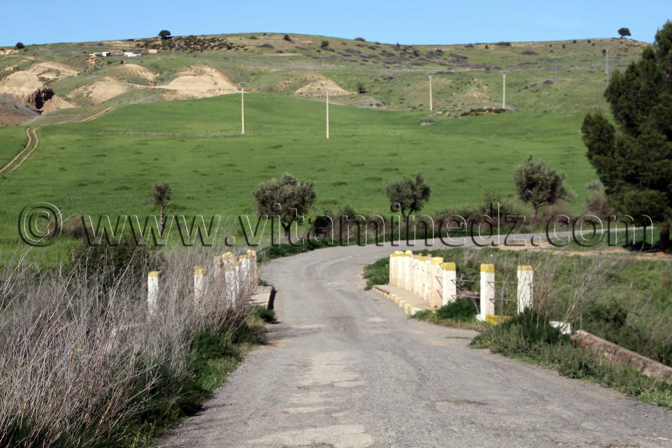 Tlemcen - Ain Tallout - Route communale W9