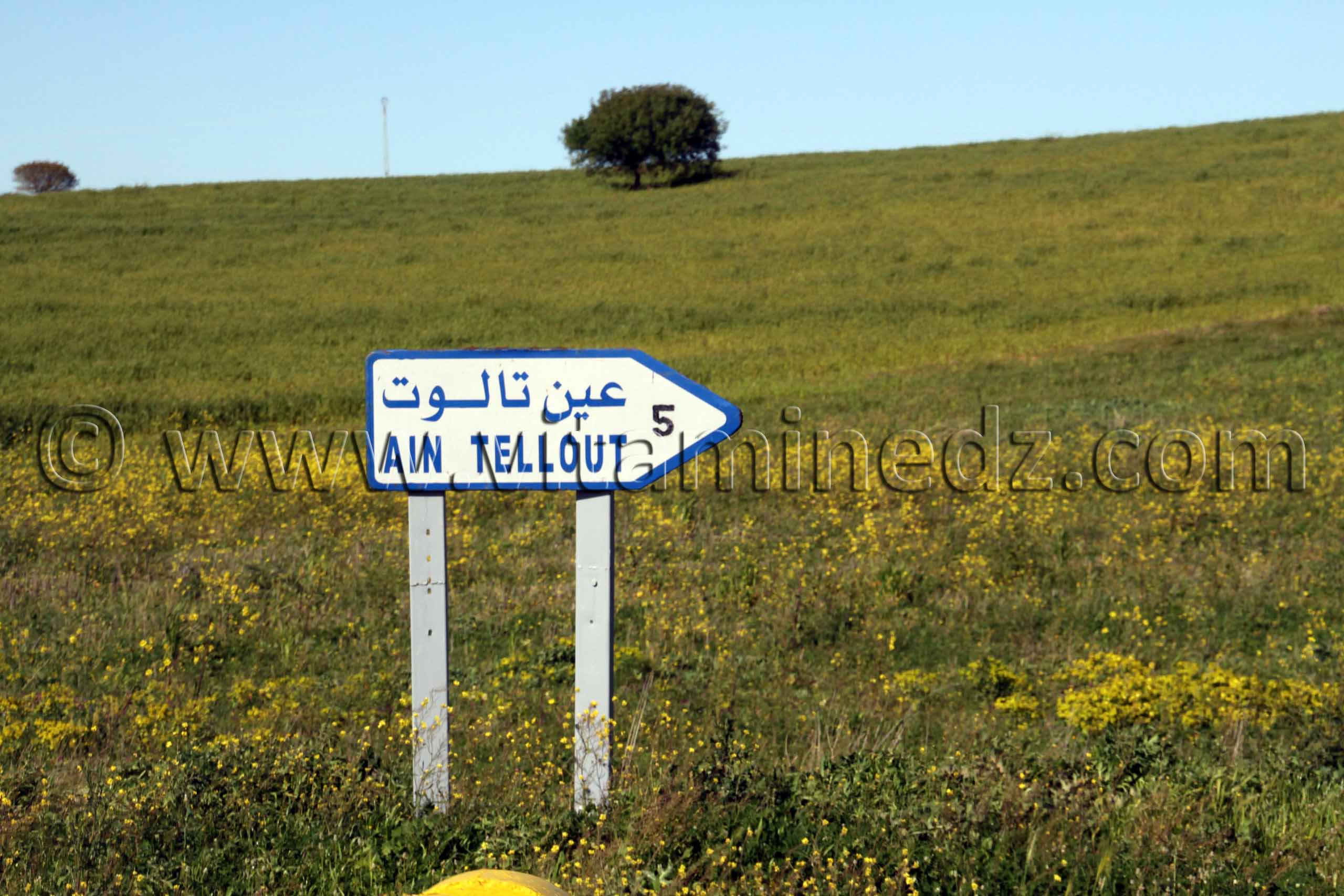 Tlemcen - Ain Tallout - Route communale W9