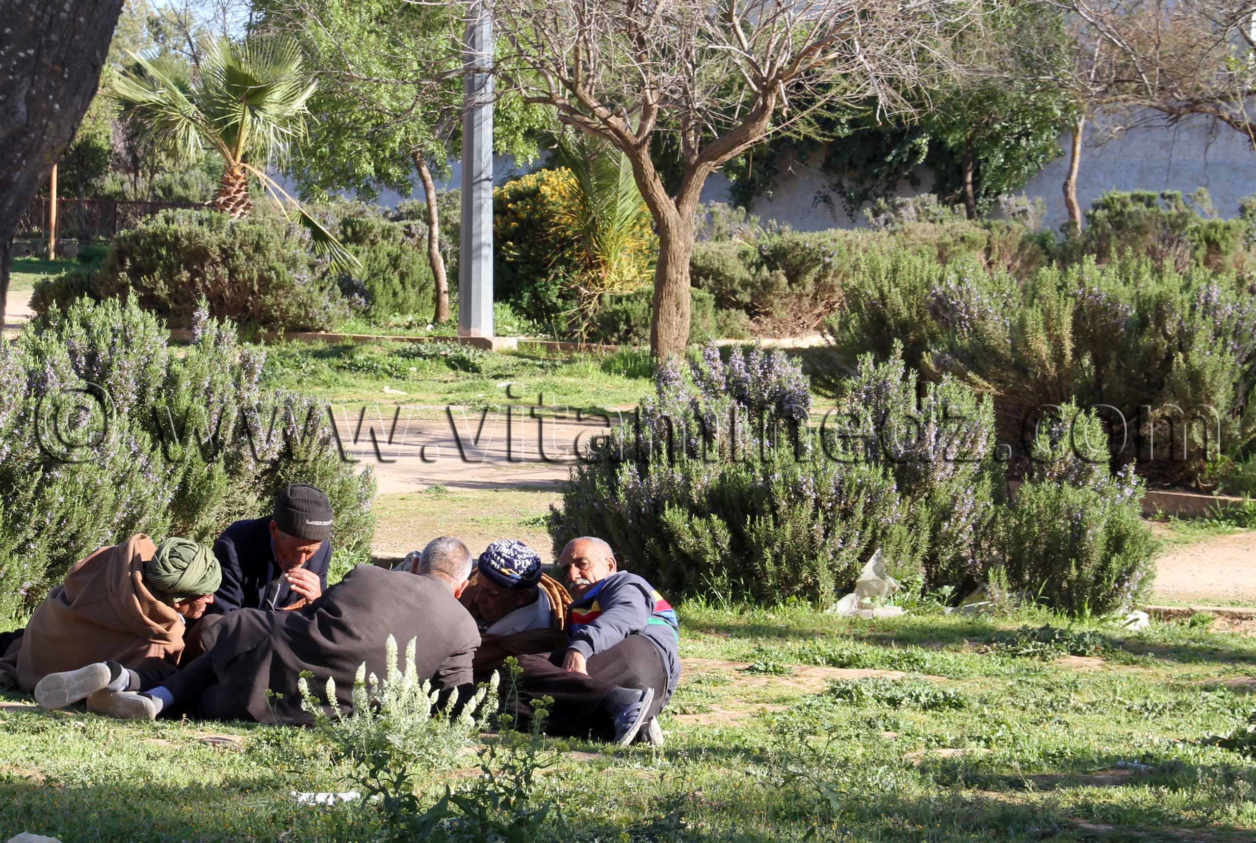 La planque à Ain Nehala - commune de Ain Nekrouf, premier village socialiste en Algérie