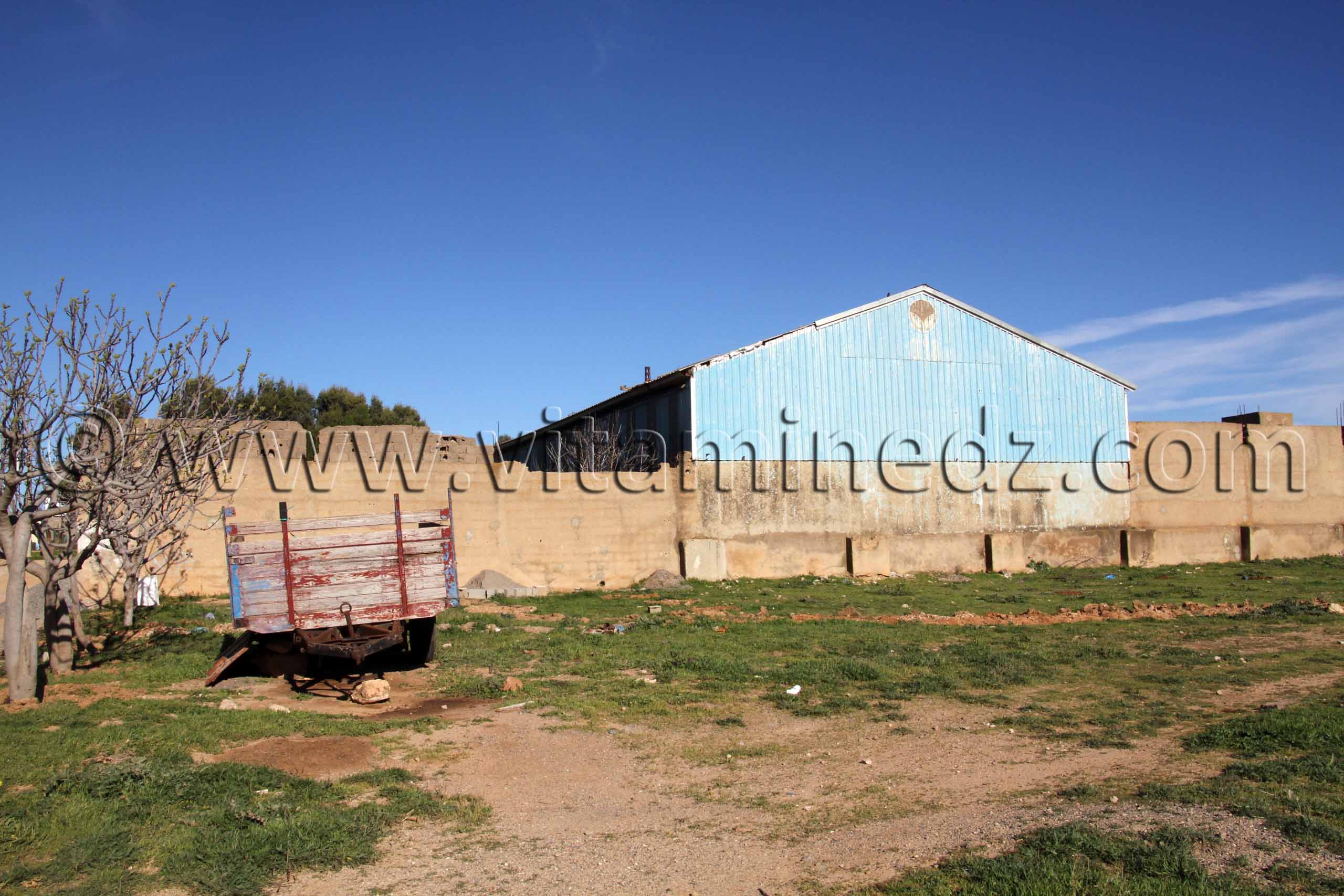 OFLA Ain Nehala - commune de Ain Nekrouf, premier village socialiste en Algérie