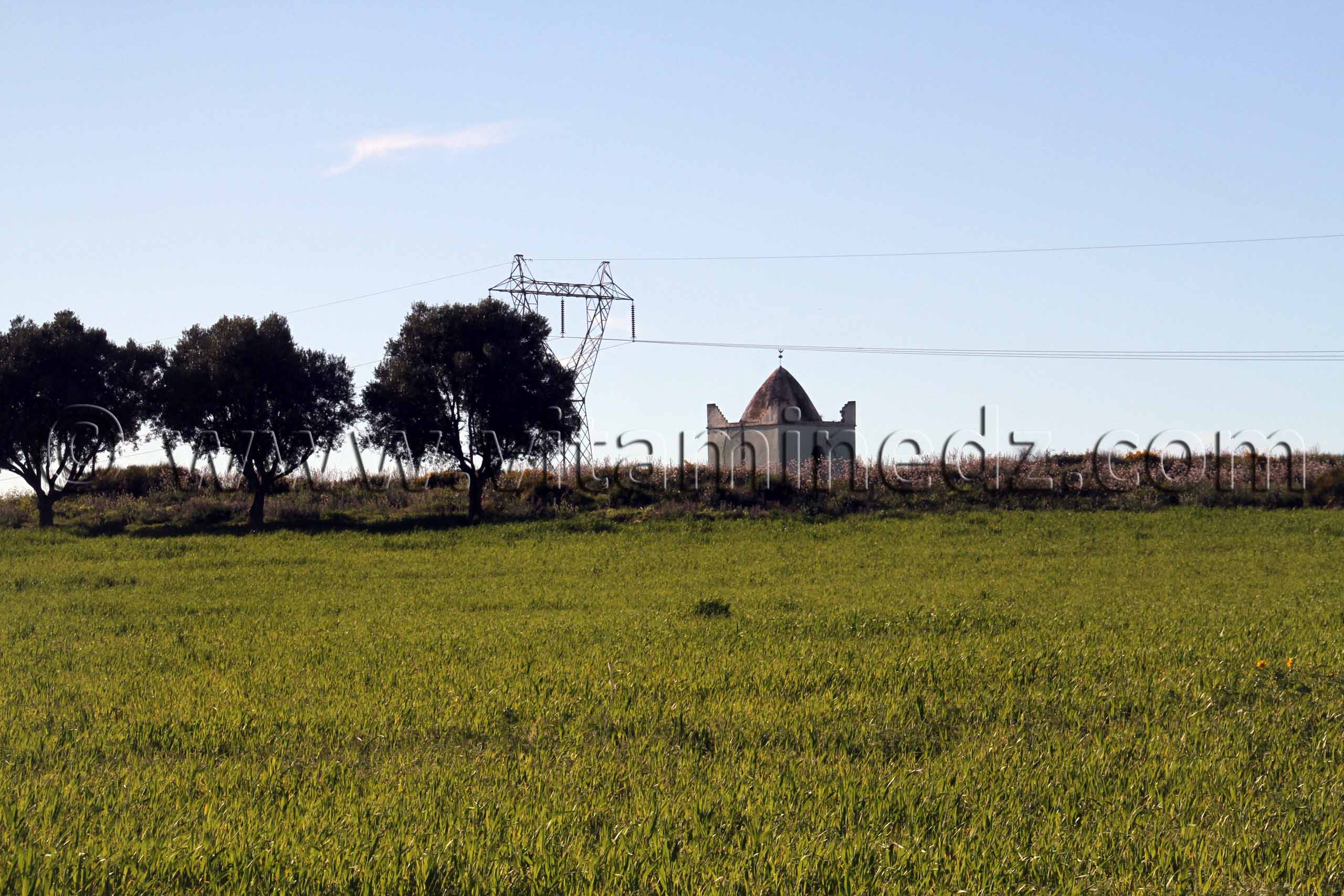 Marabout - Sidi Belabbes - Commune de Sidi Daho