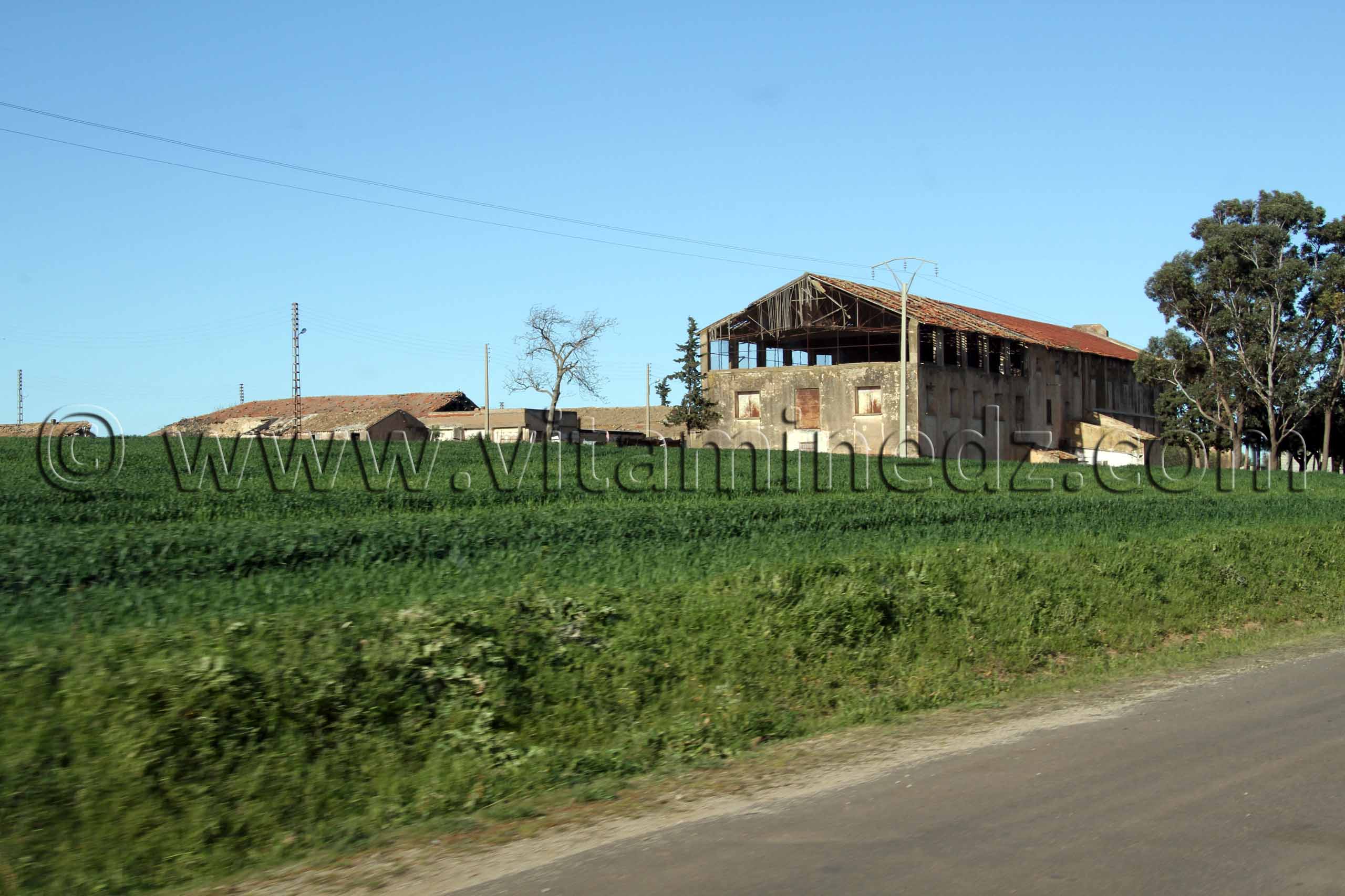 Ferme coloniale Sidi Belabbes - Commune de Sidi Daho