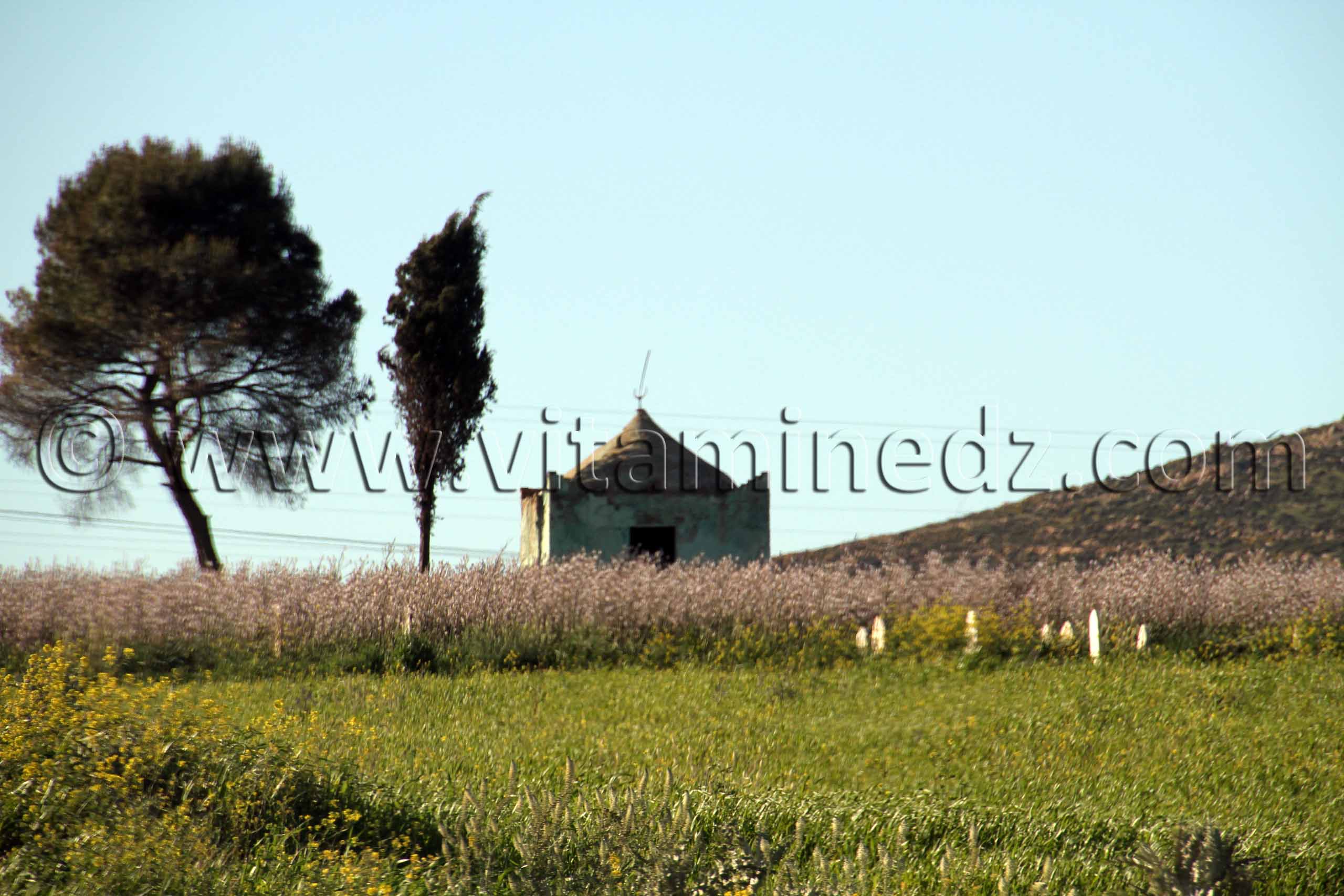 Marabout Sidi Belabbes - Commune de Sidi Daho