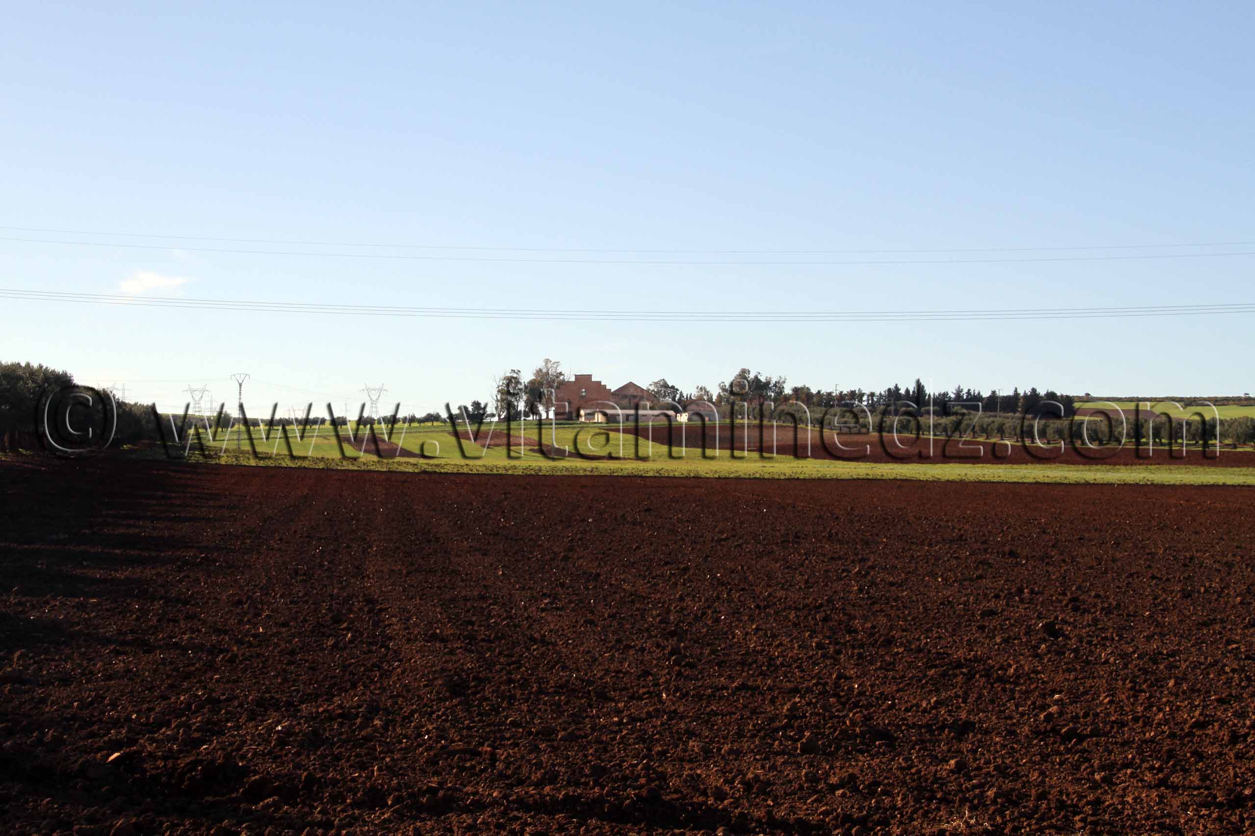 Ferme coloniale Commune Sidi Ali Boussidi (Ex Aïn el Hadjar puis Parmentier)