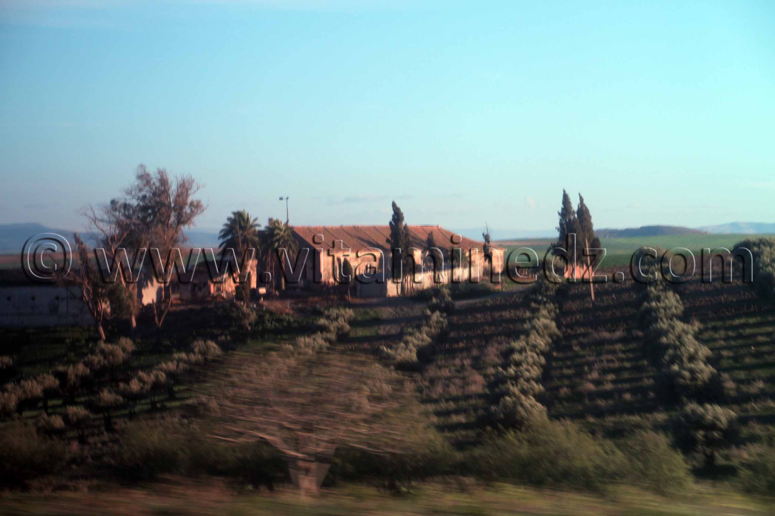 Ferme coloniale Sidi Bel Abbes - Commune de Sehala