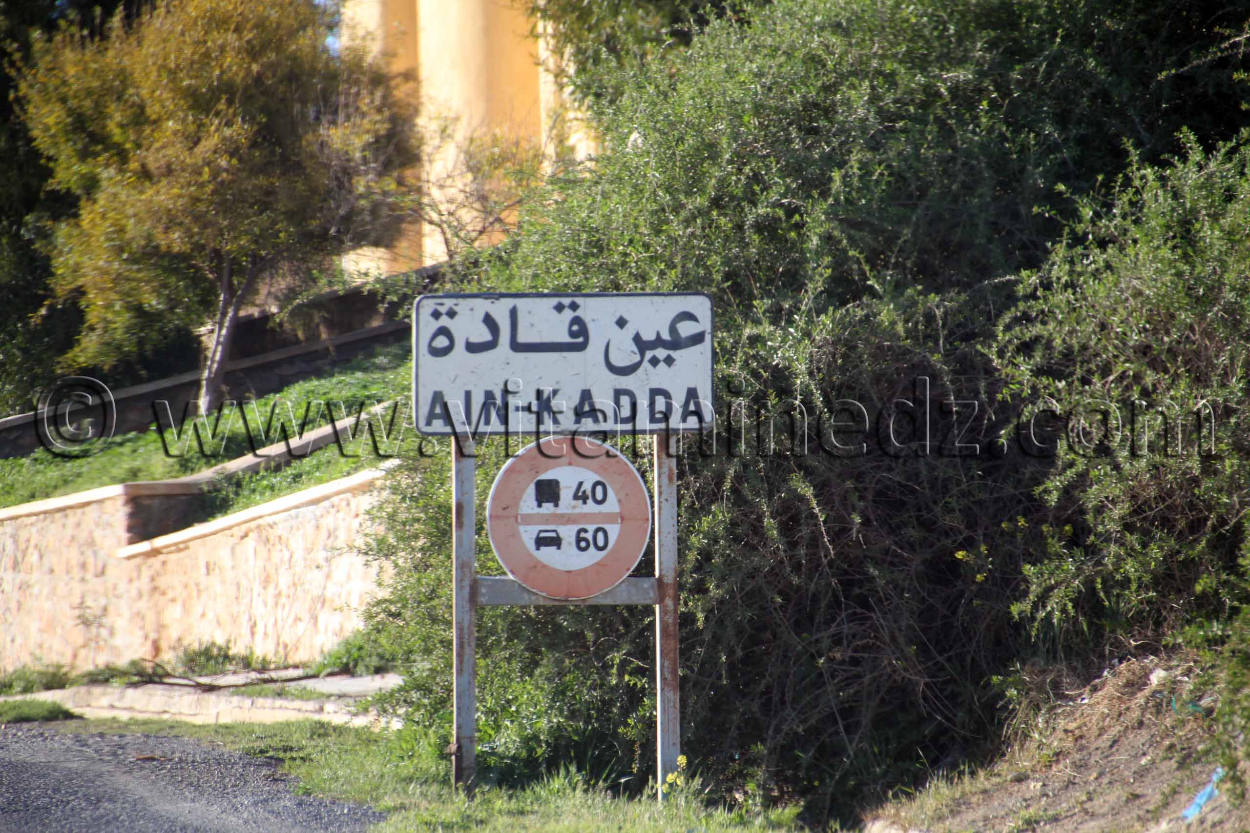 Ain Kada - Sidi Bel Abbes