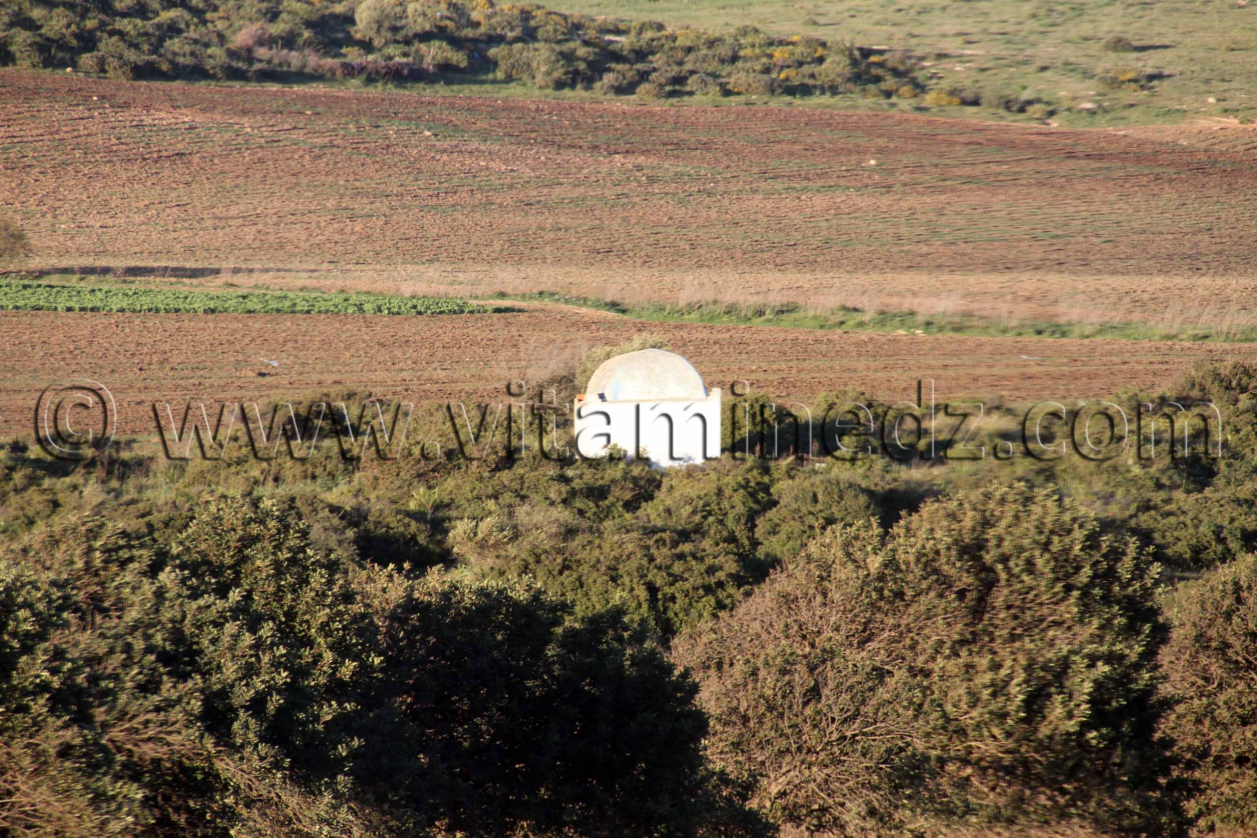 Marabout Sidi Hmadouche Sidi Bel Abbes