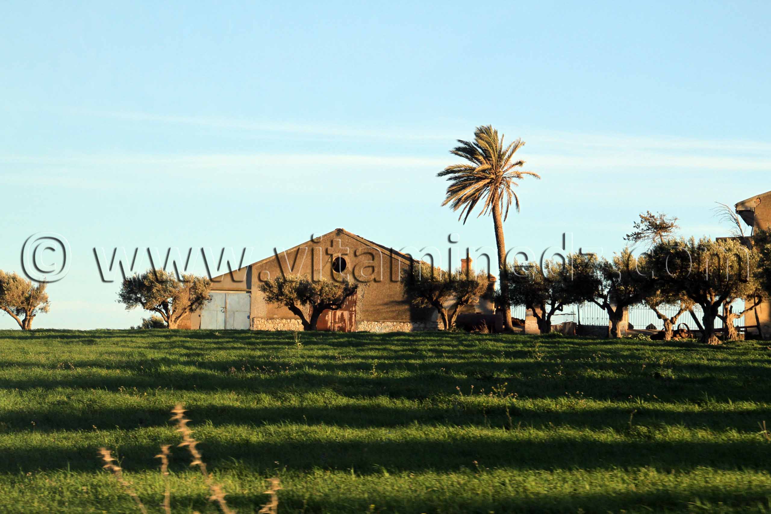 Ferme coloniale a Sidi Hamadouche (anciennement Les Trembles) Sidi Bel Abbes