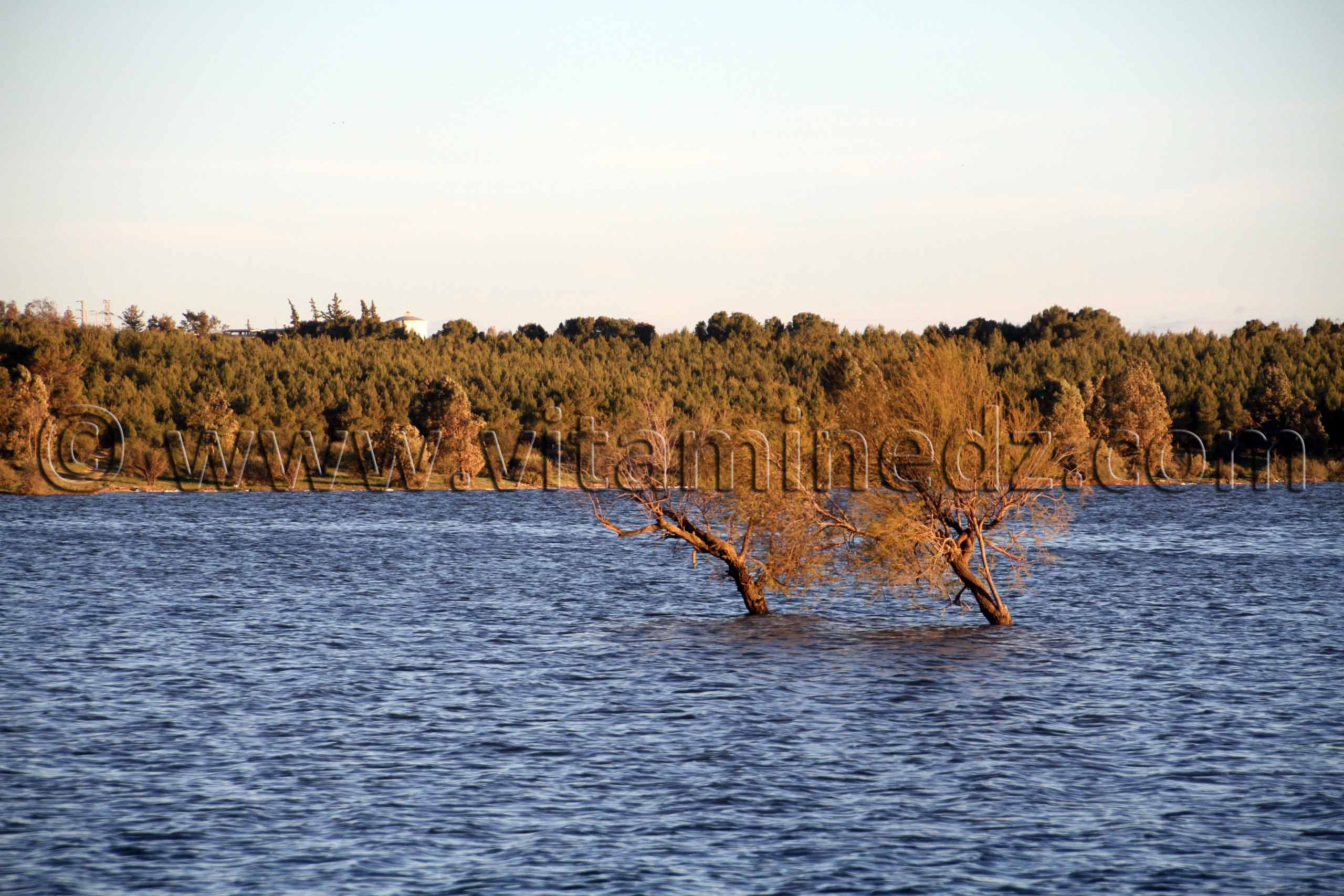 Belle nature Lac (Barrage Oued Sarno) Sidi Bel Abbes