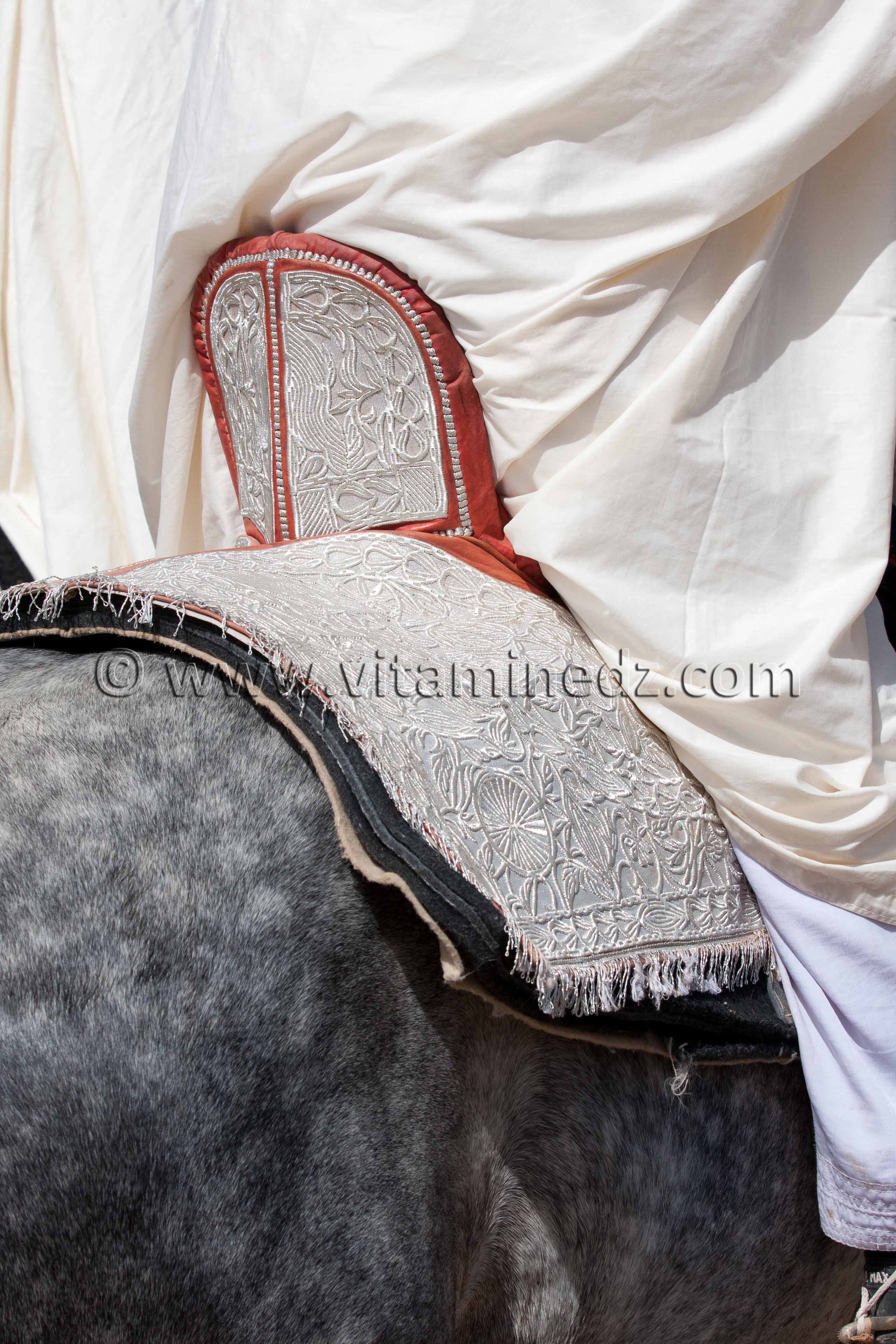 Selle arabe - Wa3det Sidi Yahia Bensfia, Sidi El Djillali (W. Tlemcen) Septembre 2011