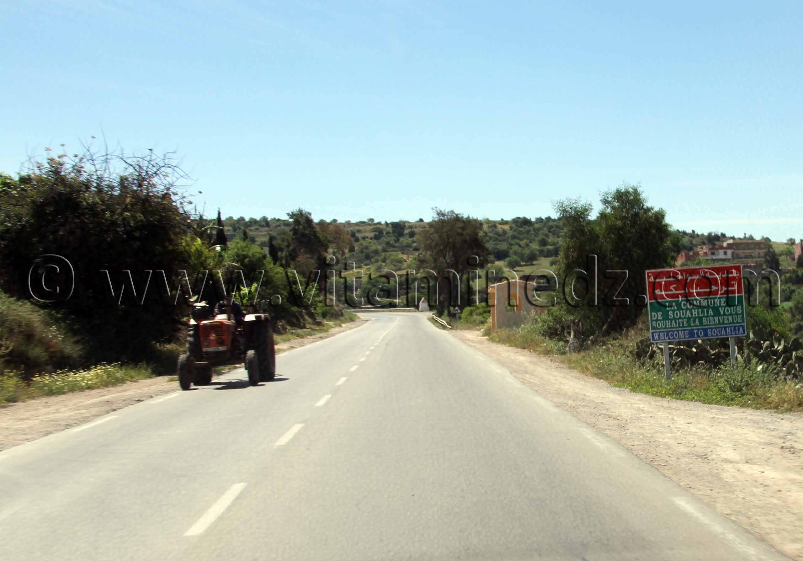 Entrée commune de Souahlia (Tlemcen)