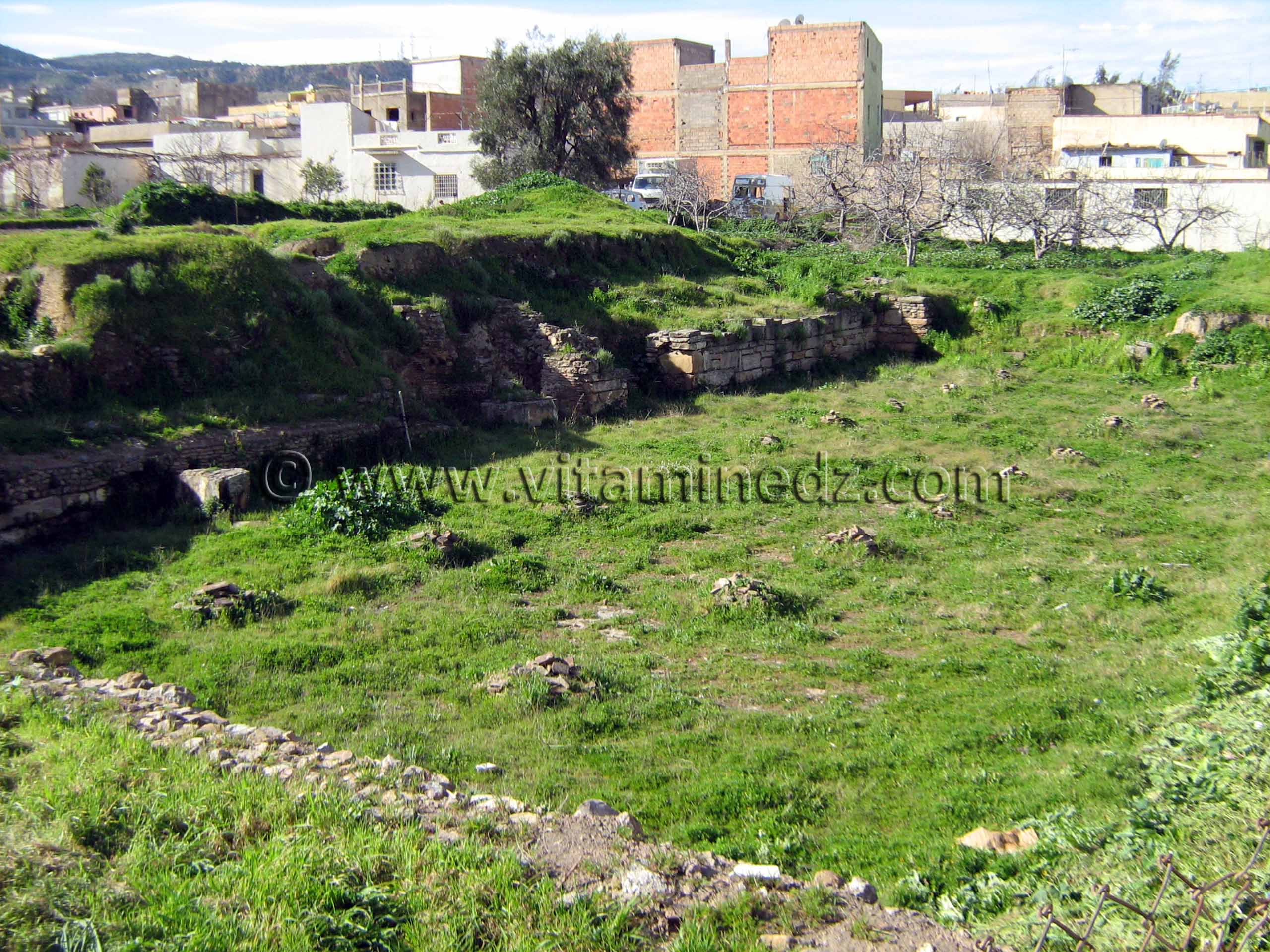 Ruines de la mosquée d'Agadir - Tlemcen
