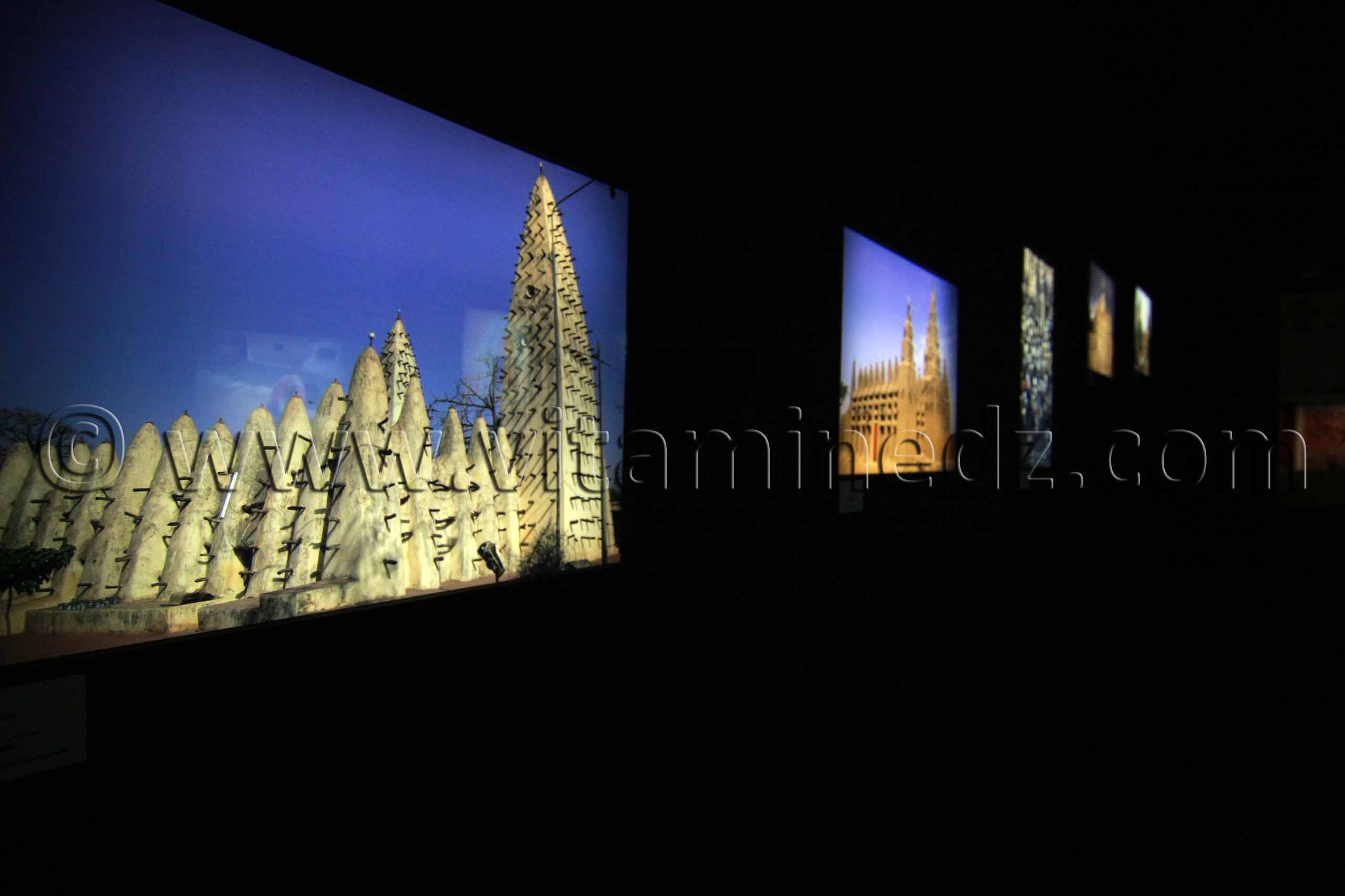 Exposition Le patrimoine de l'Afrique à l'honneur