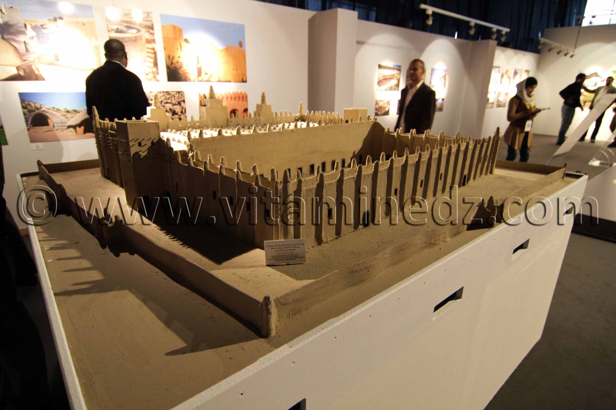 Exposition Le patrimoine de l'Afrique à l'honneur