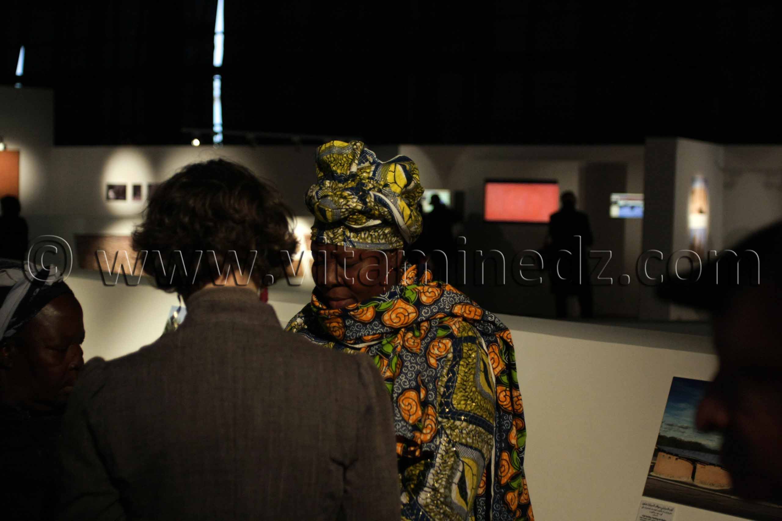 Participants africains De terre et d'argile, Exposition de Yasmine Terki (Tlemcen 2011, capitale de la culture islamique)
