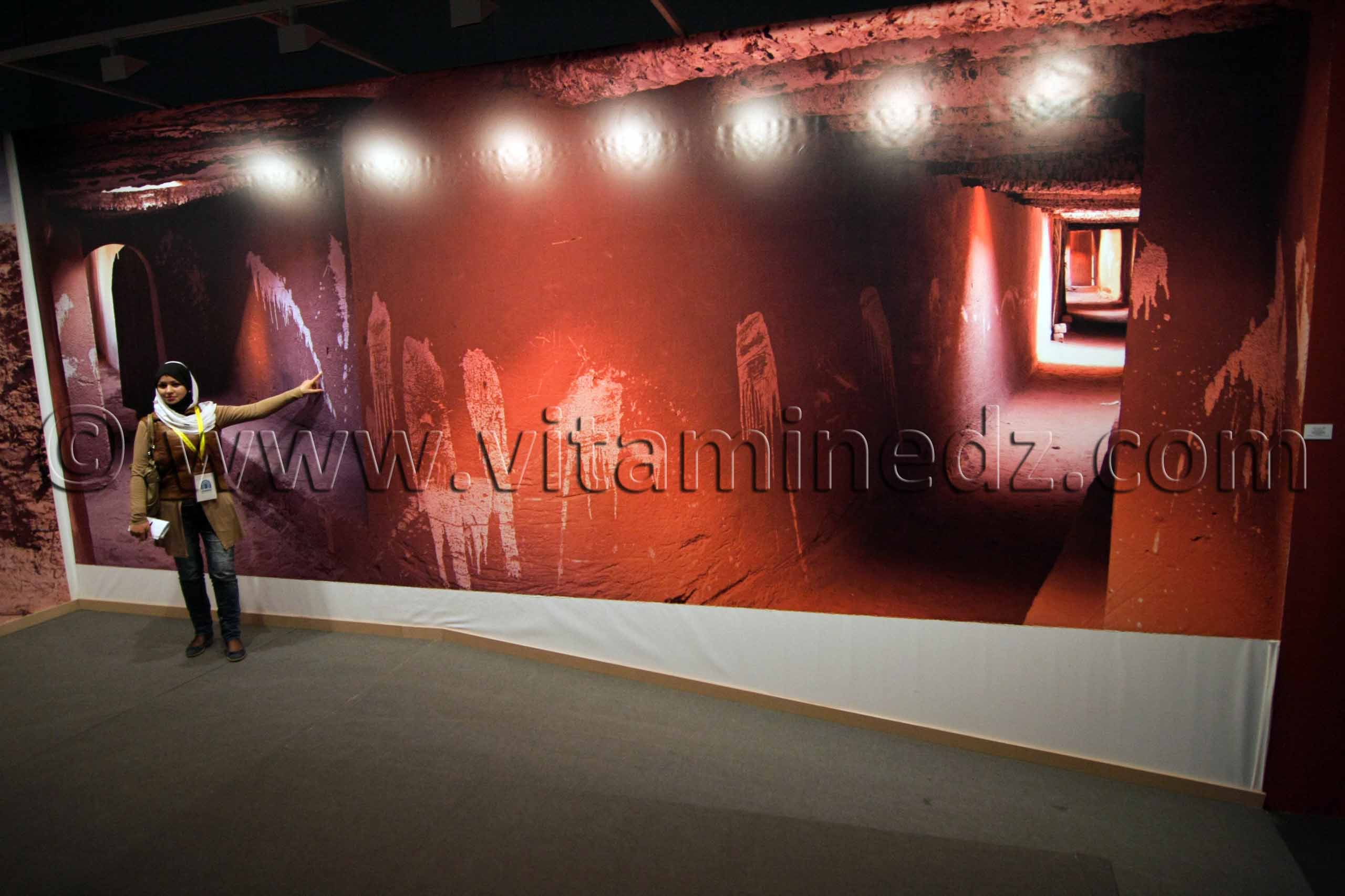 Rues du Ksar de Timimoun - De terre et d'argile, Exposition de Yasmine Terki (Tlemcen 2011, capitale de la culture islamique)