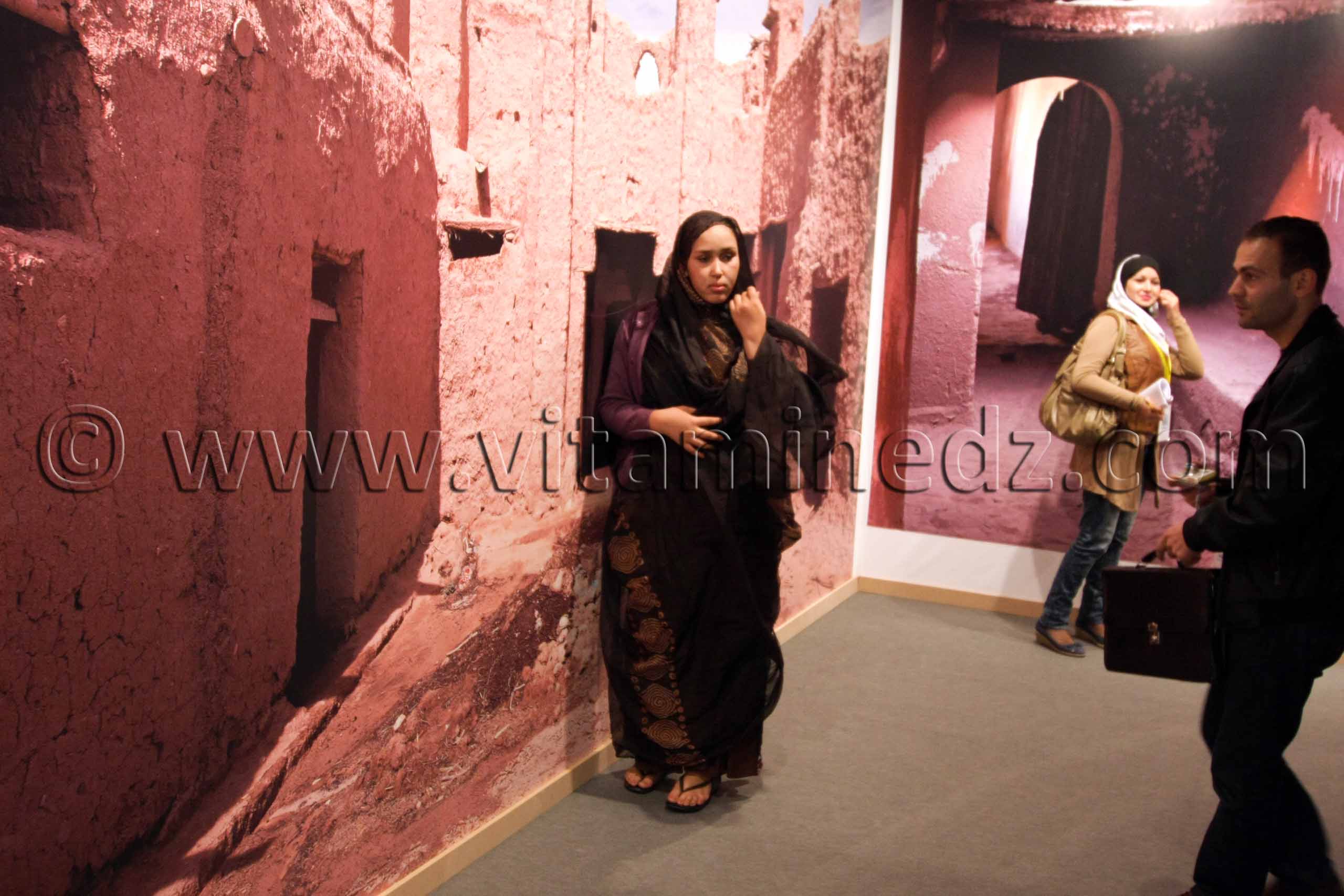 Ksour De terre et d'argile, Exposition de Yasmine Terki (Tlemcen 2011, capitale de la culture islamique)