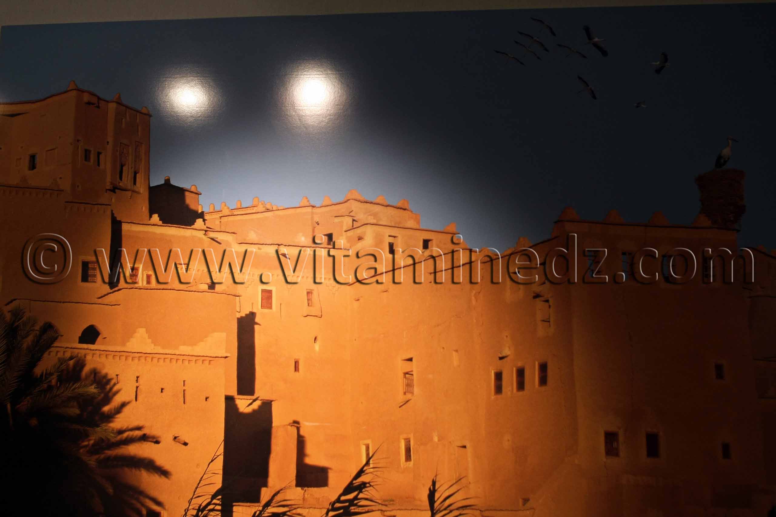 Ksar De terre et d'argile, Exposition de Yasmine Terki (Tlemcen 2011, capitale de la culture islamique)
