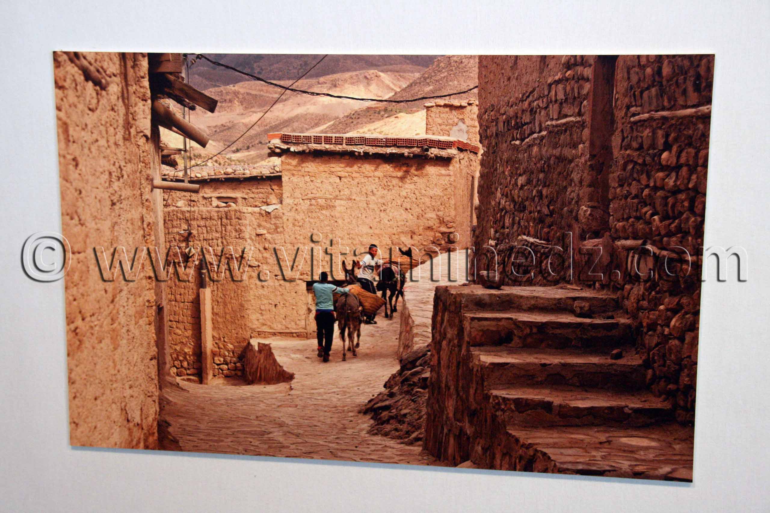 Ksar de Menaa (Batna)