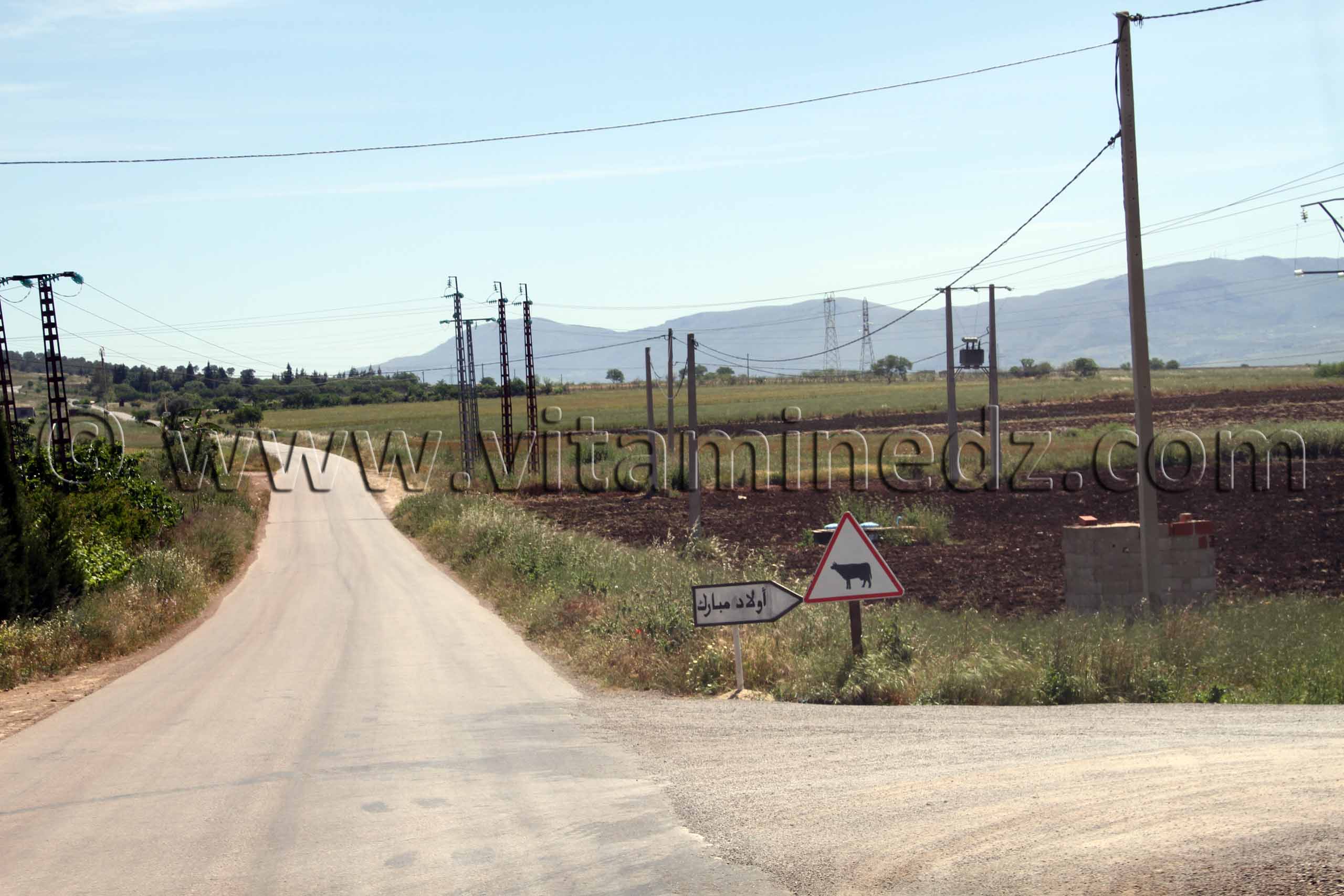 Tlemcen - Ouled Mbarek, Commune de Tient (Tienet ou Tianet)