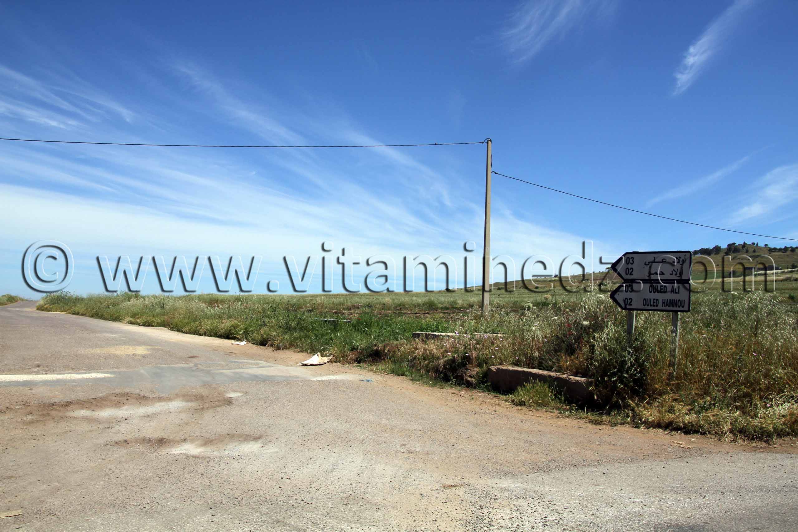 Tlemcen - Ouled Ali, Ouled Hammou, Commune de Tient (Tienet ou Tianet)