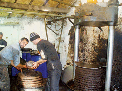 Wilaya de Tizi Ouzou : Les prix de l’huile d’olive flambent