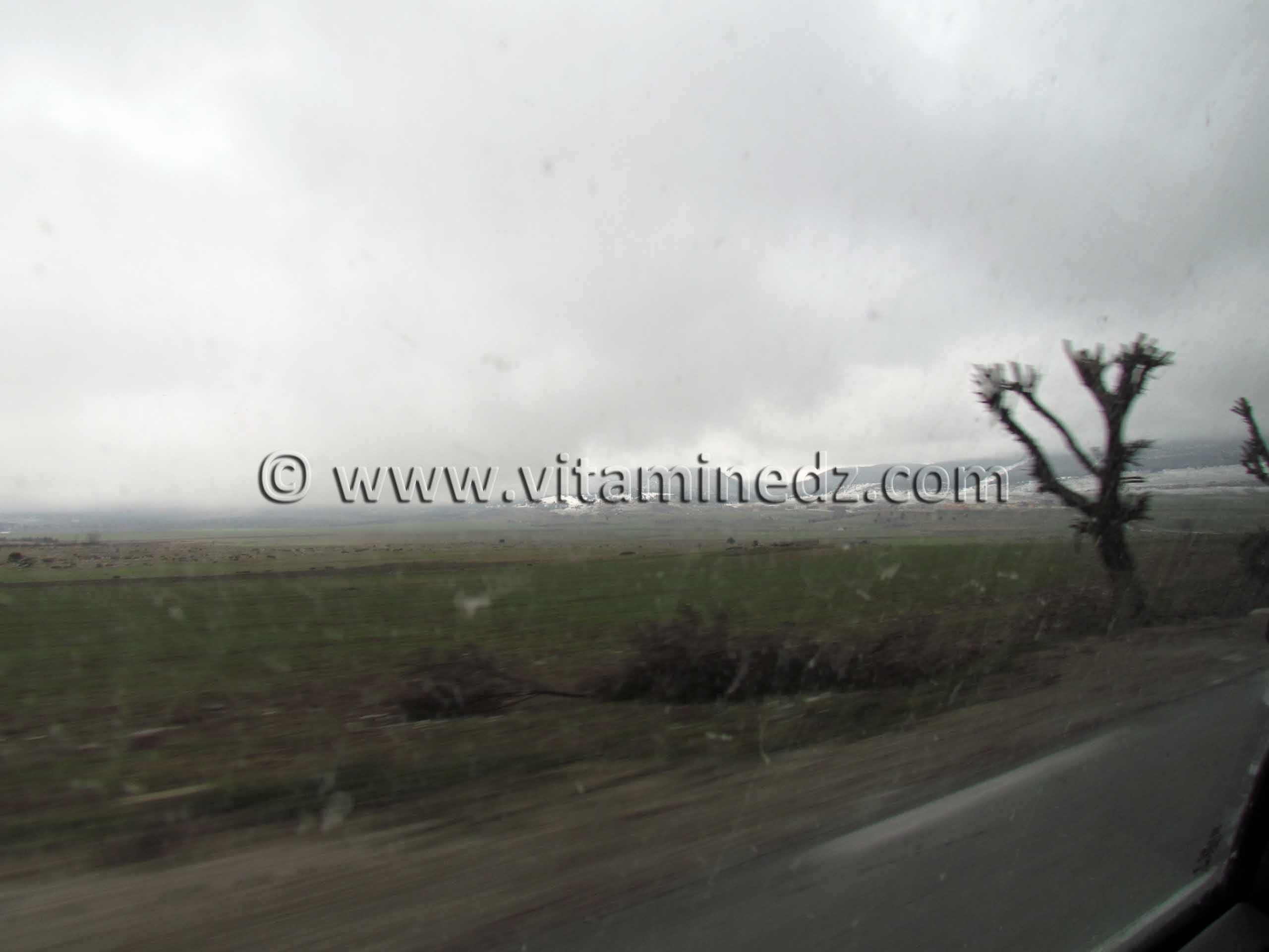 Neige à Tlemcen, Terny le 31 Janvier 2011