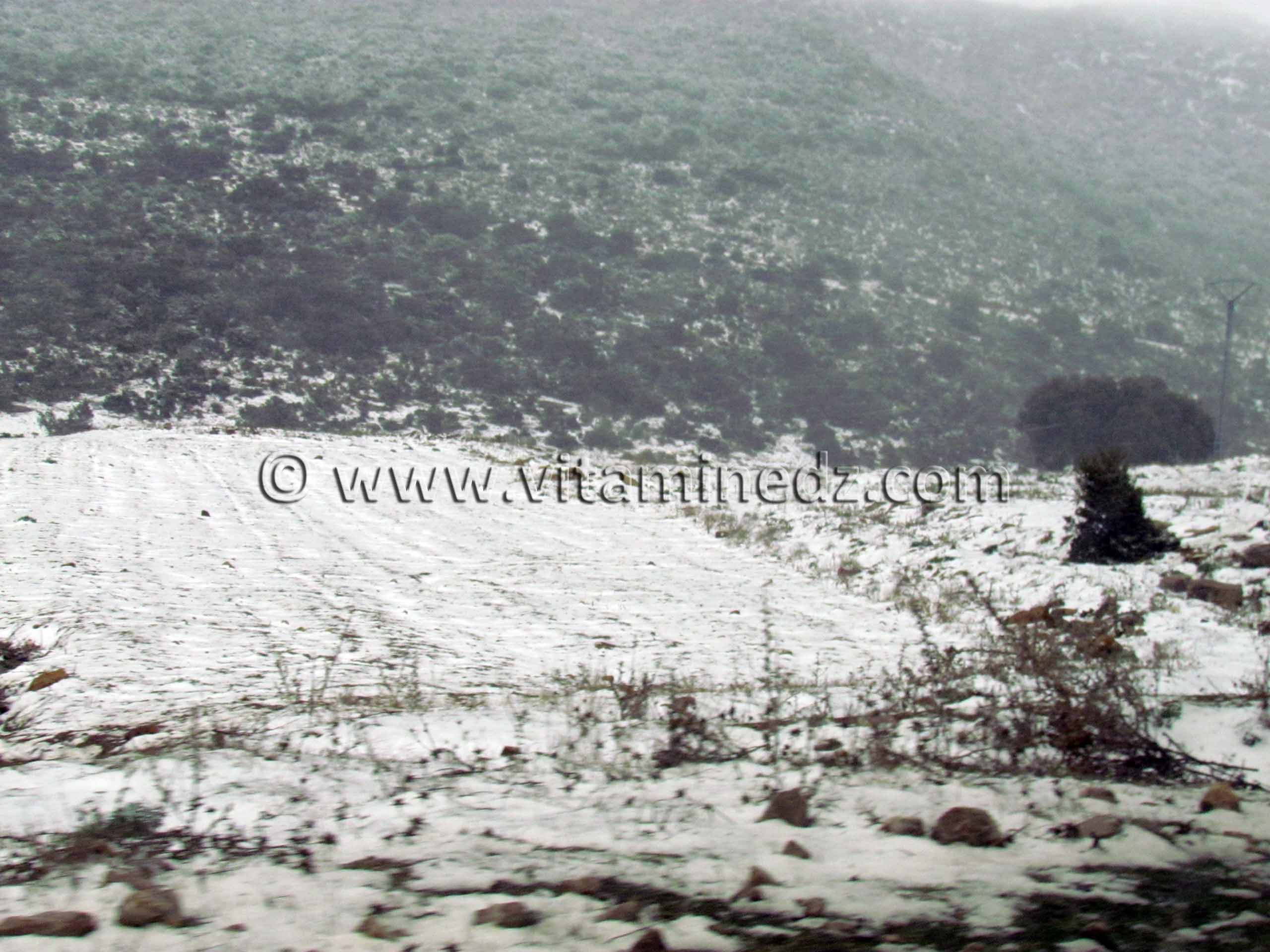 Neige à Tlemcen, Terny le 31 Janvier 2011